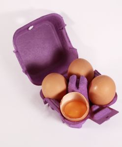 Não se devem pôr todos os ovos em uma única cesta
